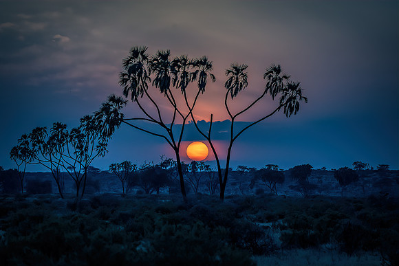 Kenya_Jul312019_7475