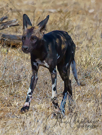 Kenya_Aug012019_6659