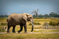 Kenya_Jul222019_4048