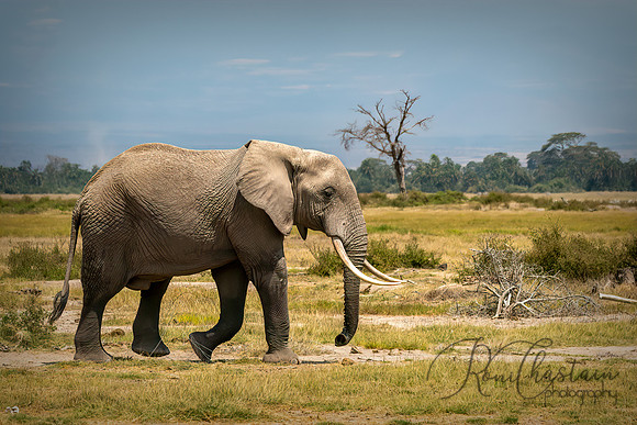 Kenya_Jul222019_4048