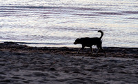 CubaWild2024_1054-2