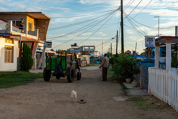 CubaWild2024_1087
