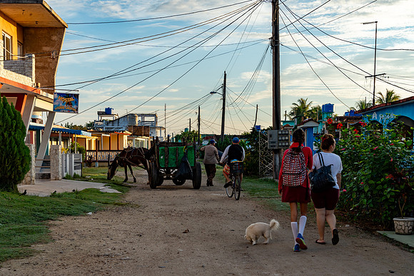 CubaWild2024_1092