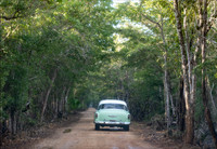 CubaWild2024_1122