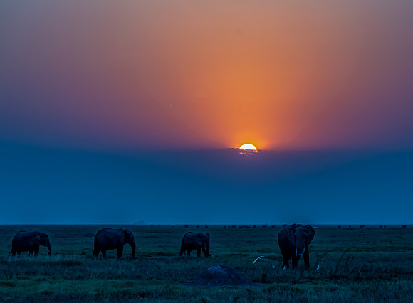 Kenya_Jul232019_1450