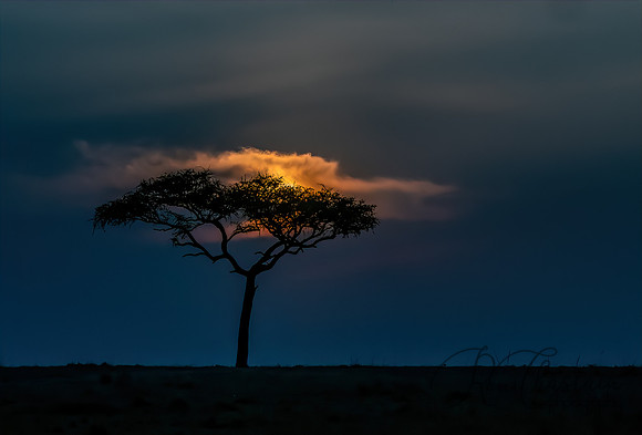 Kenya_Jul262019_5803