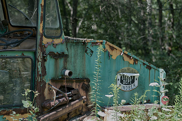 TrolleyGraveyardPAfish_Aug172014_0088