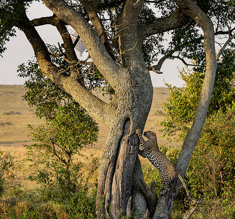 Kenya_Jul272019_5153-2