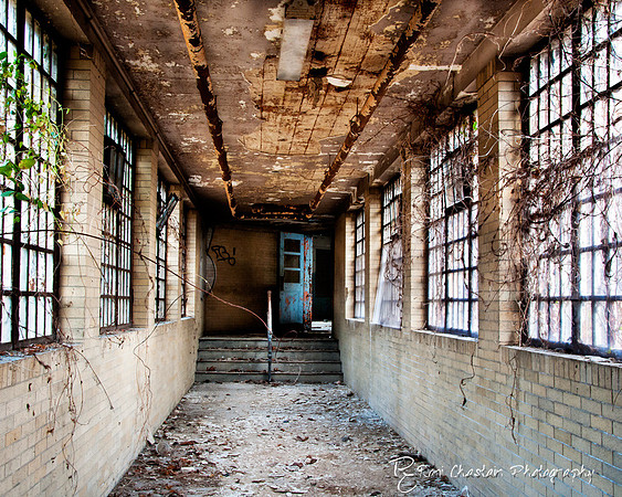 KingsPark_Dec312011_7093