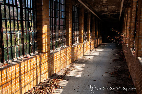 KingsPark_Dec312011_7150
