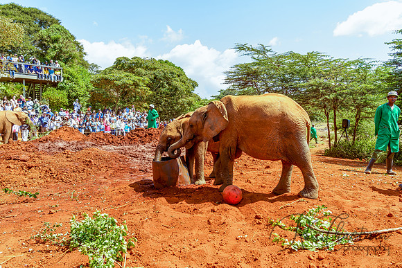 Kenya_Jul212019_3423