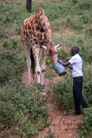 Kenya_Jul212019_3837