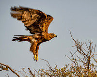 Kenya_Jul252019_6271