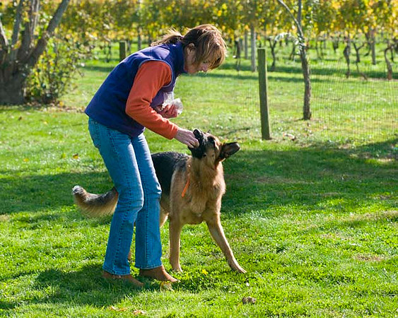 AllfurfunAgility 103010_0070