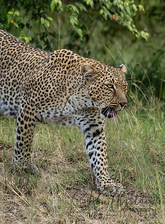 Kenya_Jul272019_4944
