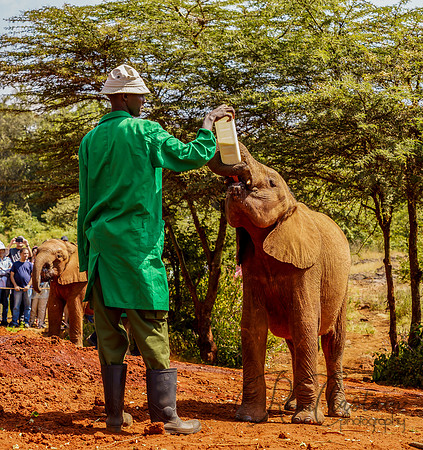 Kenya_Jul212019_3361