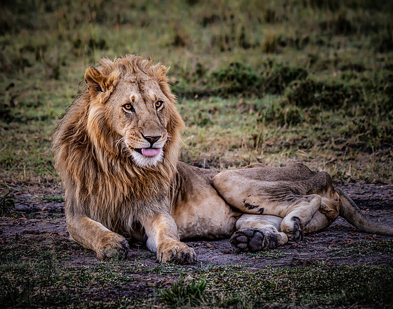 Kenya_Jul252019_6185a