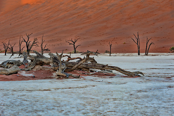 Namibia700_061916_4451