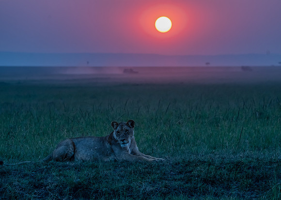 Kenya_Jul252019_6151