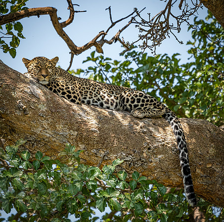 Kenya_Jul272019_4893