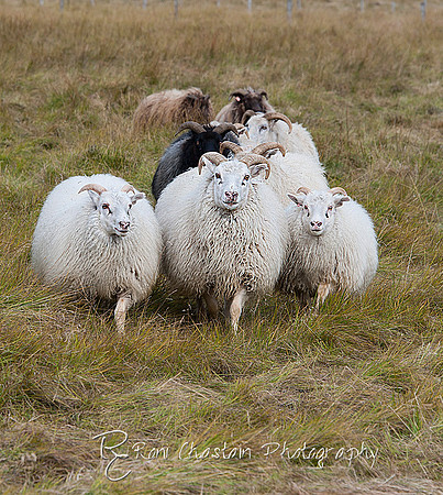ICELAND2013_Sep222013_0215