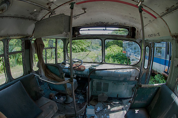 TrolleyGraveyardPAfish_Aug172014_0050