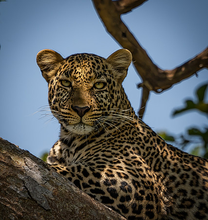 Kenya_Jul272019_4913