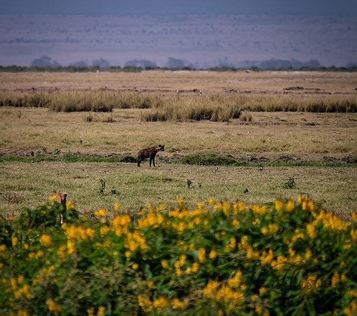 Kenya_Jul232019_1853