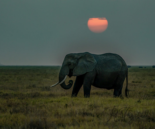 Kenya_Jul232019_1469