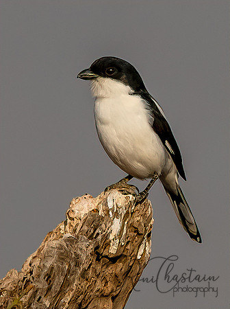 Kenya_Jul232019_2481