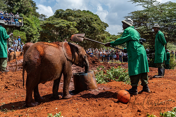Kenya_Jul212019_3472