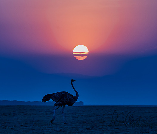 Kenya_Jul242019_6520