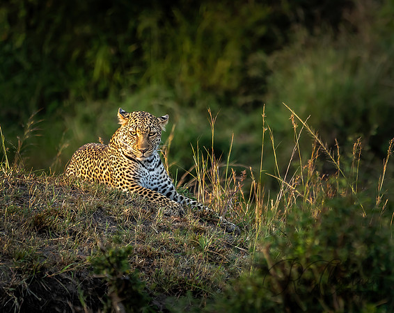 Kenya_Jul272019_5134a