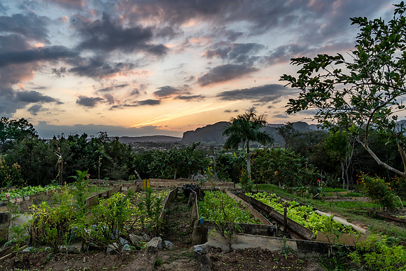 CUBA_010620_2342