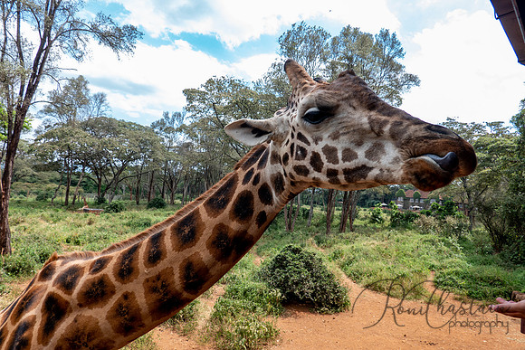 Kenya_Jul212019_3846