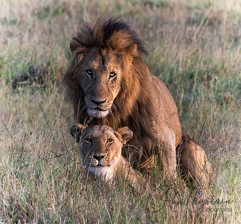 Kenya_Jul262019_5391a