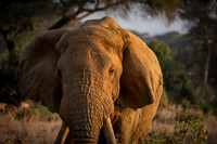 Kenya_Jul222019_4249