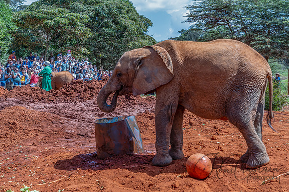 Kenya_Jul212019_3426