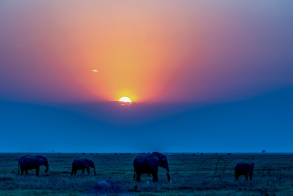 Kenya_Jul232019_1448