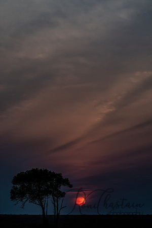 Kenya_Jul282019_4604
