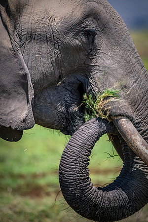 Kenya_Jul242019_0935