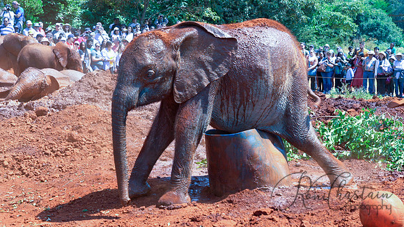 Kenya_Jul212019_3476