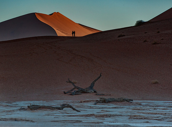 Namibia700_061916_4575