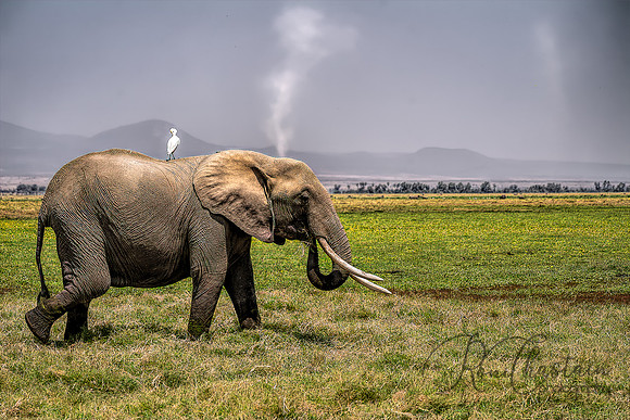 Kenya_Jul242019_0879