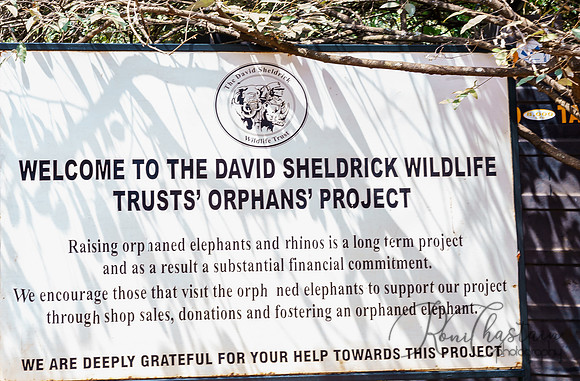 Kenya_Jul212019_3571