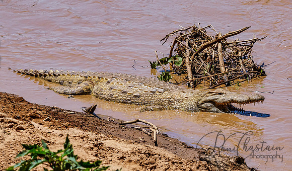 Aug022019_0038