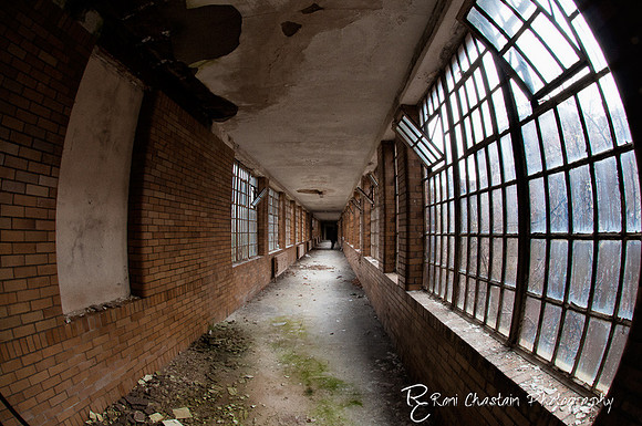 KingsPark_Dec312011_7165