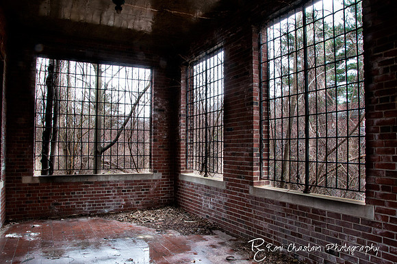KingsPark_Dec312011_7035