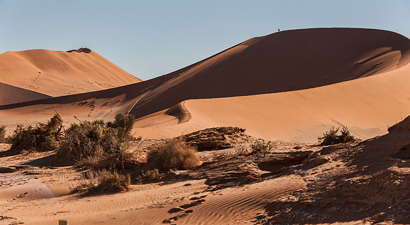 Namibia700_061916_4649