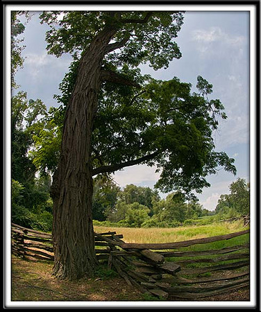 SleepyHallow_070511_6505